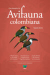 Avifauna Colombiana